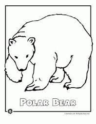Animal cloning creates desirable traits in each species. Endangered Animal Coloring Pages Bear Coloring Pages Polar Bear Coloring Page Polar Bear Color