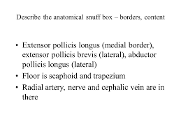 (1, 2, 3) image 1: Describe The Lymphatic Circulation Of The Mammary Gland Describe The Characteristic Features Of Erb Duchenne Palsy And Klumpke S Paralysis Describe The Ppt Download