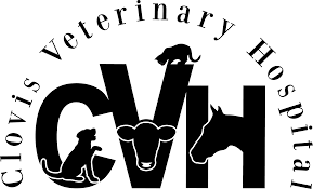 I have been taking my fur baby, shippo, to clovis pet hospital since i first got him 13 years ago. Clovis Veterinary Hospital Is Hiring Clovis Veterinary Hospital