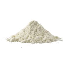 Image result for Synaptolepis