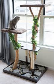 Want something to keep them busy? Cat Lovers Learn How To Make A Diy Cat Tree Using Real Branches Cat Tree Designs Diy Cat Tree Cat Tree Plans