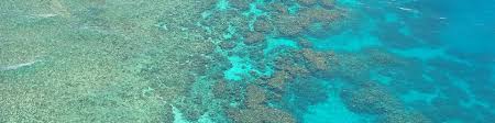 The united nations educational, scientific and cultural organization committee, which sits under unesco, recommended the great barrier reef's inclusion because of the impact of climate change. Tauchen Am Great Barrier Reef Tauchen Am Meer