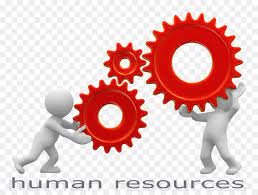 All human resource clip art are png format and transparent background. Human Resource Management Human Resource Management Clip Art C Hr Png Herunterladen 2221 1666 Kostenlos Transparent Text Png Herunterladen