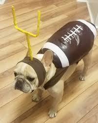 Dog Costumes Football Frenchie French Bulldog French Bulldog Halloween Costumes Bulldog Halloween Costumes French Bulldog