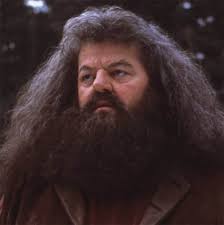 March 30, 1950 stocky scottish comic actor robbie coltrane was trained for his craft in glasgow and in 1973, he produced the documentary young mental health. Robbie Coltrane London Film And Comic Con