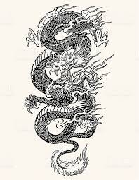 This tattoo includes a black and grey inked dragon that swirls around your hand. Arbeit Asiatische Ausfuhrliche Drachetatowierungslinie Grade Hohem In Hohem Grad Asian Dragon Tattoo Dragon Tattoo Sketch Japanese Dragon Tattoos