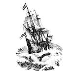 Shipwrecked!