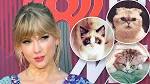 6 Celebrity Pets To Know, From Billie Eilish To Taylor ...
