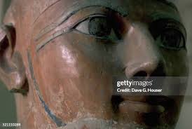 11,911 Dave Kohl Stock Photos, High-Res Pictures, and Images