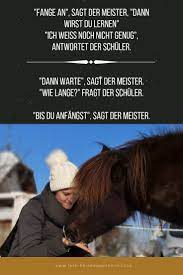 willst du einfach mal aus dem trainingsalltag ausbrechen mit deinem pferd spass haben und dabei noch seine fitness und konzentrat pferde training ideen fitness