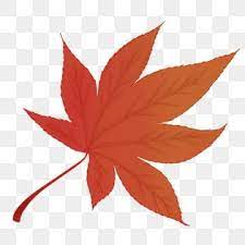 Hand Drawn Autumn Winter Maple Red Leaves Beautiful Red Maple Leaf Maple Branch Maple Leaf Clipart Red Autumn Leaves Cartoon Red Maple Leaf Png Transparent C Maple Leaf Clipart Leaf Clipart
