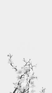 Looking for the best aesthetic wallpapers? White Background White Flowers Removed Text Life White Iphone Background White Background Wallpaper Iphone Wallpaper Glitter