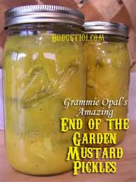 How To Make Your Own Homemade Mustard Pickles By Budget101 Com Mustard Pickles Homemade Mustard Pickles