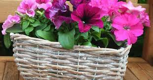 Pflanz Korb Blumen Korb Blumenstander Fahrrad Weide Gartenkorb Wikler Korbwaren Eur 12 50 Pflanzen Pflanzkorb Korb