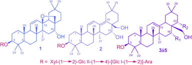 Image result for Polycarpaea eriantha