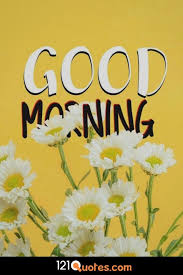 Kind of hard being yellow…. 200 Beautiful Good Morning Images Latest Update