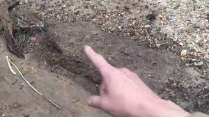 In the food industry, for example, detectors can alert staff to food that has been contaminated with metal from machinery. How To Find Arrowheads In A Creek Youtube