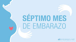 Los sentidos que se han ido formando durante los 8 meses de embarazo están ahora desarrollados casi en su totalidad. Septimo Mes De Embarazo 7 Meses De Embarazo El Embarazo Mes A Mes Youtube