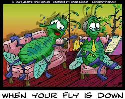 Drosophila Fruit Fly Humor Cartoon Entomology Offbeat