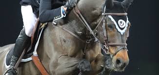Equicty will help you to streamline the communication between the stable and the administrative department. Merci Pour Tout Forlap Tu Me Manques Deja Tellement Gregory Wathelet Cheval Magazine