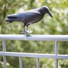 We kunnen vragen om cookies op uw. Duivenverjager Kopen Vogels Verjagen Via Vogelverschrikker Of Ultrasone