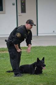 Pin By Jacqueline Sadan On Dogs Of War Police K9 Emergency Medical Trinity County