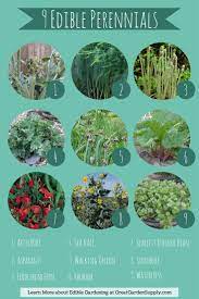 Delicious and easy to grow, this is a great plant to use to get the kids excited about gardening. Grow A Food Forest In Your Yard 4 Tips For Adding Edible Perennials To Your Garden Perennial Vegetables Food Forest Growing Vegetables