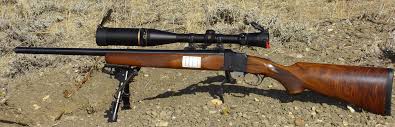 4.1 wrapping up the best air rifles for pest control. Varmint Rifle Wikipedia