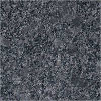 Many have become champions for their the white german shepherd is as biddable as its colored brethren. P White Granite Manufacturer Supplier And Exporter From India