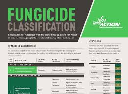 soy checkoff now prioritizing fungicide resistance education