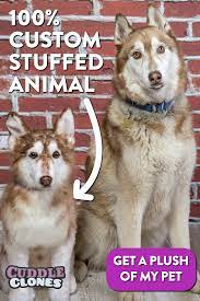 Custom Stuffed Animal Of Your Pet Plush Dogs Cats Cuddle Clones Custom Stuffed Animal Plush Dog Pets