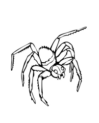 Top 10 spider coloring pages your toddler will love to color. 27 Free Spider Coloring Pages Printable