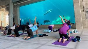 Maybe you would like to learn more about one of these? Outdoor Yoga In Tampa Bay