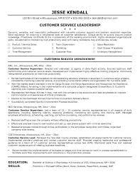 Career Resume Template Customer Service Resume Customer Service Resume Examples Resume Objective