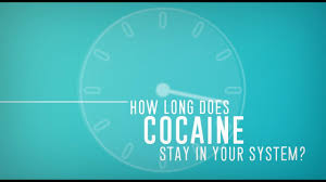 However, it may vary for lsd, cocaine and marijuana. How Long Does Cocaine Stay In Your System Blood Urine Saliva