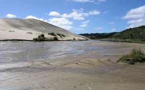 why do you sink in quicksand