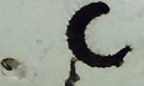Ok this is gross, but i have black flat worms crawling out of my toilet. Woman Who Peed Worms For 3 Months Is Found To Have Infestation Of Fly Larvae In Her Bladder Daily Mail Online