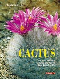 Cacti can be propagated in several ways. Cactus The Most Beautiful Varieties And How To Keep Them Healthy Manke Elizabeth 9780764112263 Amazon Com Books