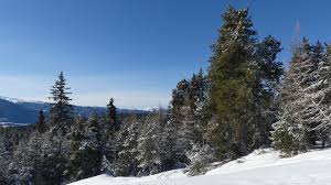 Yes, our 2021 property listings offer a large selection of 717 vacation rentals near le roc. Roc De La Calme Elkami En Rando