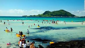 Jeju Island South Korea S Volcanic Holiday Destination Jeju Island South Korea Travel Jeju Island South Korea