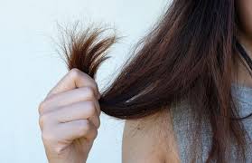 If it has been sealed you can try it. How Long Does Hair Developer Last After Opening How To Store Correctly