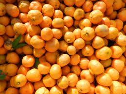 The best north florida flowering trees are distinctive from those that are planted in south florida mainly because of the lack of sufficient temperatures that are necessary for the best. Cold Hardy Citrus For North Florida Citrus Industry Magazine