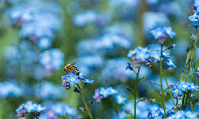 Celebrating Women In Stemm Rmit University