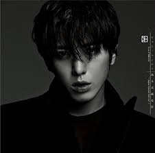 Jung Yong-Hwa - Aru Suteki Na Hi (CD+DVD) [Japan LTD CD] WPZL-31004:  Amazon.ca: Music