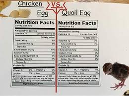Nutrition Quail Egg Nutrition Facts