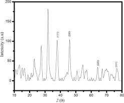 Image result for Vernonia nepetifolia