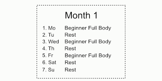 the essential 6 month calisthenics workout plan bar