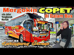 New livery al faruq mr gaplek jb3 hdd bussid v 2 9 by rifqi official. Tulisan Mr Gaplex Al Farruq Xem Video Online New Alfarruq Mr Gaplex Bingung Cari Rumah Makan Po Luragung Xl Jati Subang Benito Brundage