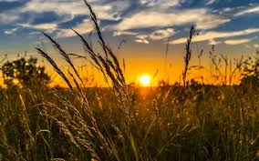 Maximele vor atinge in unele zone 27 de grade, temperaturi mult mai. Vremea Pentru Luna Iunie Care Este Prognoza Meteo Pentru Inceputul Verii