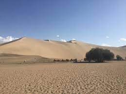 The dune's name is not incidental: Unforgettable Camel Ride Review Of Mingsha Shan Echoing Sand Mountain Dunhuang China Tripadvisor